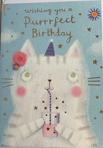 Wishing You a Purrfect Birthday card