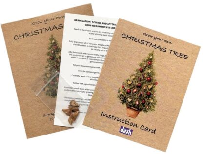 Grow your own Christmas Tree