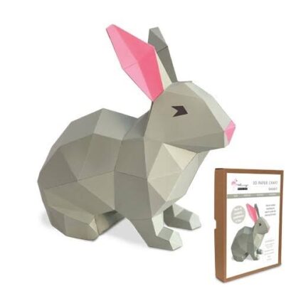 Rabbit Craft kit
