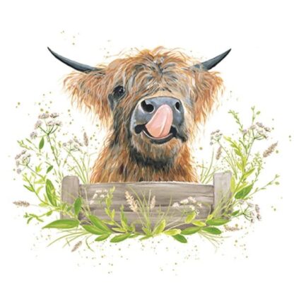 Artistic Blank Card from Highland Cow Licking Nose - Watercolour Cow Illustration by Maddie Ellis - Suitable for Birthdays & Other Occasions
