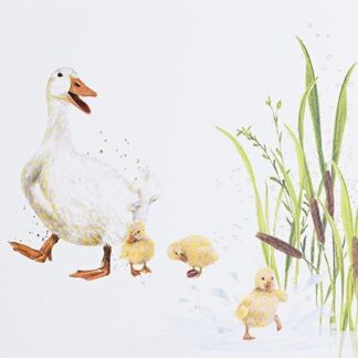 Ducks Blank Card All Occasions Male Female