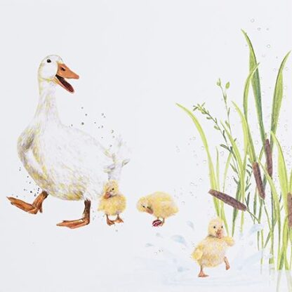 Ducks Blank Card All Occasions Male Female