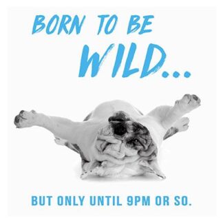 Male Birthday Card - General Funny Card for Men - Wild Until 9pm Bulldog
