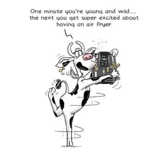 Air Fryer Humour Birthday Card