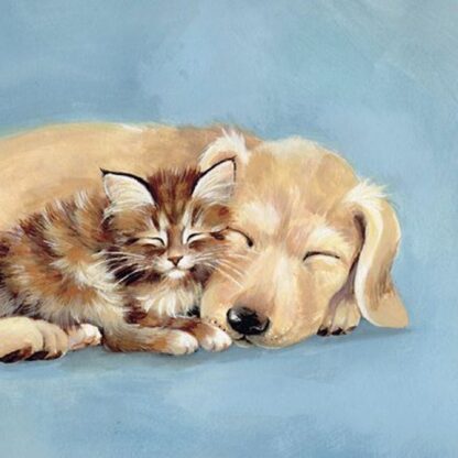 Labrador Kitten Cute Blank Card All Occasions Birthday Male Female Boys Girls