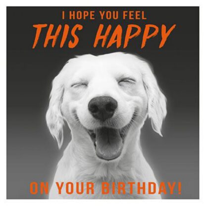 Funny Birthday Card for Men/Boys - General Humour Male Card - Hope You Feel This Happy - Smiling Labrador Dog - Eco-Friendly & Recyclable