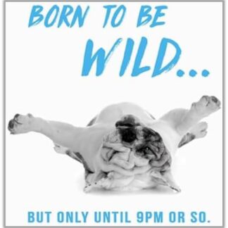 Male Birthday Card - General Funny Card for Men - Wild Until 9pm Bulldog