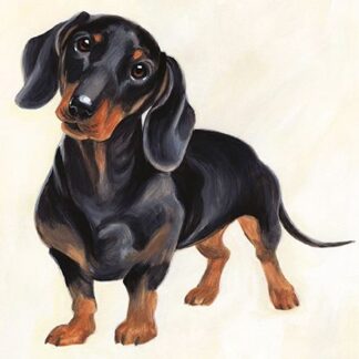 Dachshund greeting card
