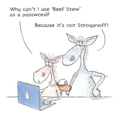 Happy Birthday Card Beef Stew Humour Joke Funny Male Female