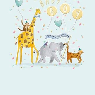 New baby boy blue congratulations card