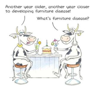 Illustrated Humorous Female Birthday Card from The Funny Farm Range - Furniture Disease