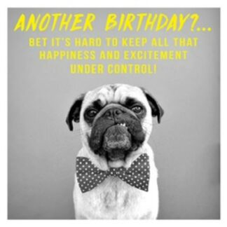 Under Control funny dog birthday card