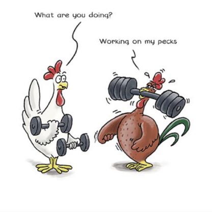 Pecks humorous funny birthday card with cartoon chickens