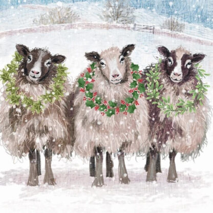 Christmas Sheep Christmas cards