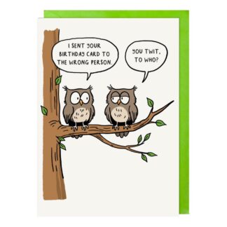 Owls humorous greetings card for birthday, male, female
