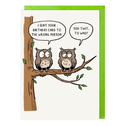 Owls humorous greetings card for birthday, male, female