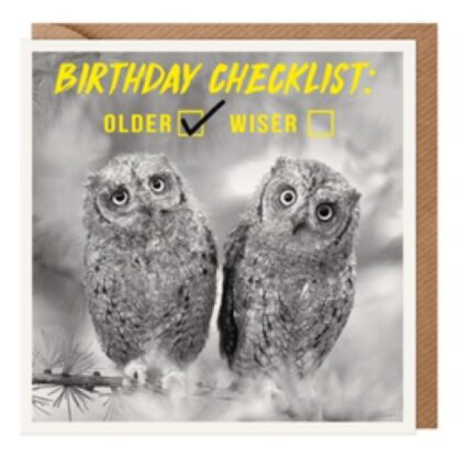 Birthday Checklist Owls photographic birthday card
