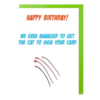 Cat scratches happy birthday card for man woman cat lover