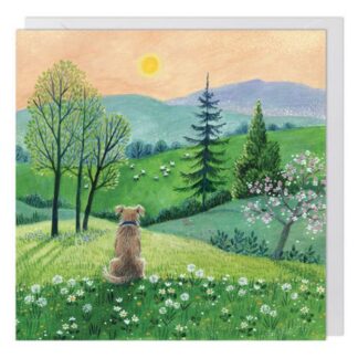 Dogs View greetings card blank inside