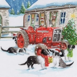 Christmas Collies Christmas cards pack of 10