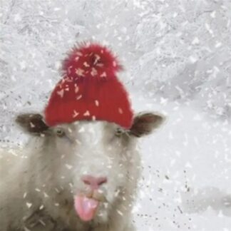 Sheep’s red hat Christmas cards pack of 10