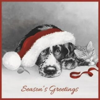 Waiting for Santa Christmas cards pack of 10