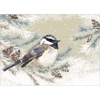Coal Tit in Winter Christmas cards, pack of 8