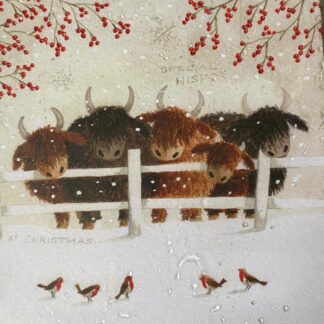 Highland Cows (In the snow) pack of 8 Christmas cards