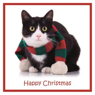Cats Christmas Scarf Christmas cards