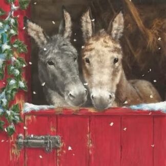 Donkey in Red Stable Christmas Cards