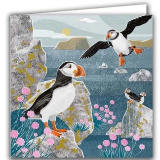 Puffins greetings card blank inside recycled eco friendly birthday card